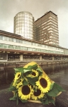 NederlandseBankZonnebloemen_JB1996-228-36aNederland,Amsterdam,1996↵
project Geld↵
↵
Gebouw Nederlandse Bank↵
Zonnebloemen ↵
↵
foto Jan Bogaerts