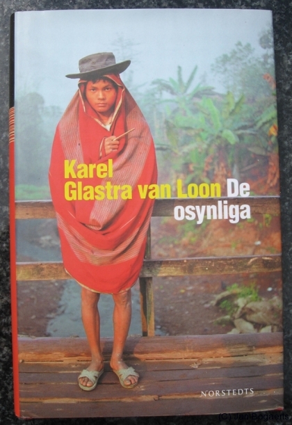 doib-book-cover-swedish